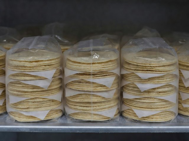 Portioned tortilla stacks separated by baking paper in freezer bags under dim light
